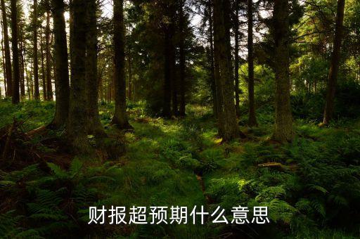 财报超预期什么意思