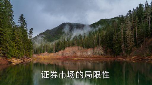 证券市场的局限性