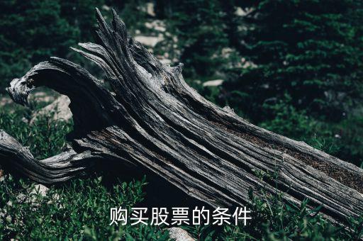 购买股票的条件