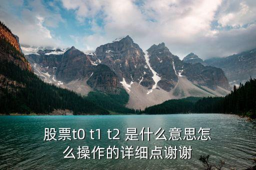 股票t0 t1 t2 是什么意思怎么操作的详细点谢谢