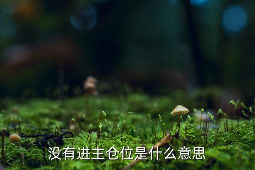 没有进主仓位是什么意思