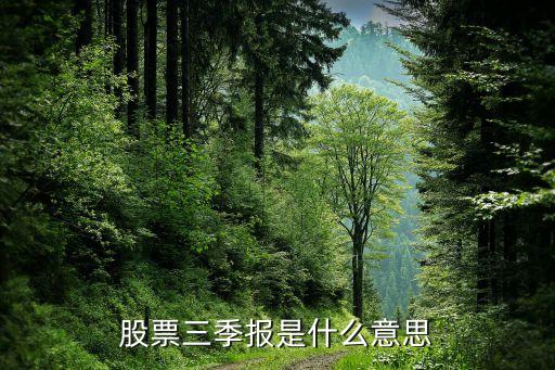 三季报为什么这么多股票，股票三季报是什么意思