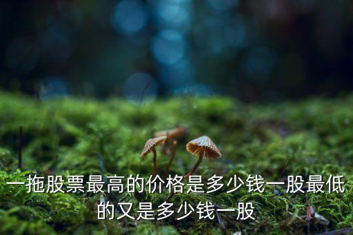 一拖股票最高的价格是多少钱一股最低的又是多少钱一股