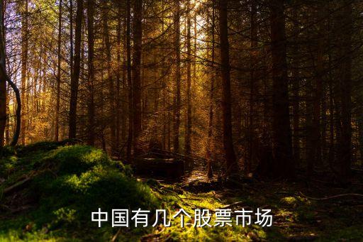 中国有几个股票市场