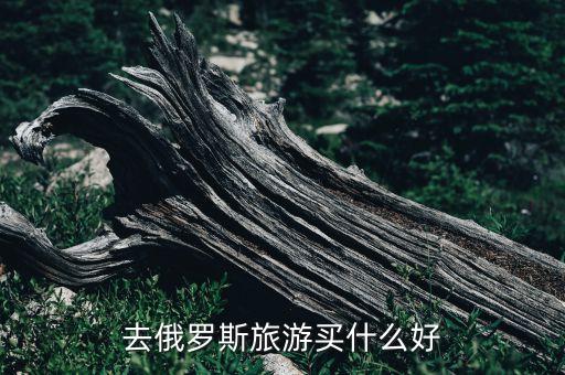 去俄罗斯旅游买什么好