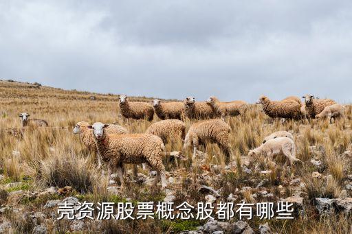 壳资源股票概念股都有哪些