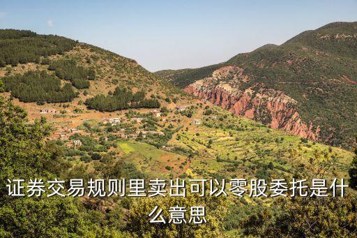 股票最多可卖零股什么意思，炒股可卖数量是零
