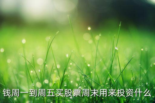 钱周一到周五买股票周末用来投资什么