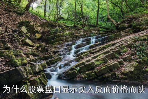 买入股票是涨是跌说明什么，请问买入是跌还是涨啊
