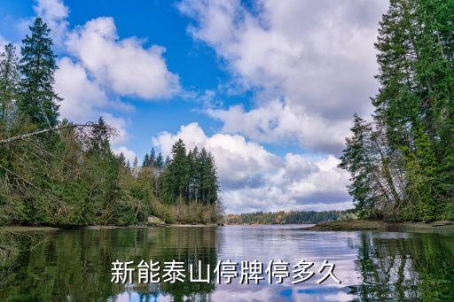 新能泰山停牌停多久