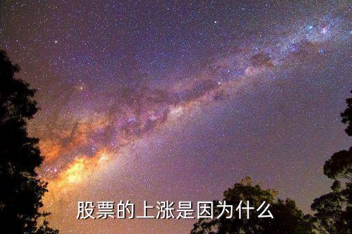 股票的上涨是因为什么