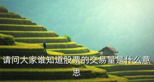请问大家谁知道股票的交易量是什么意思