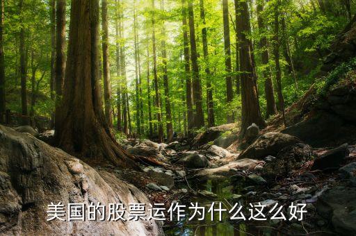 美国的股票运作为什么这么好