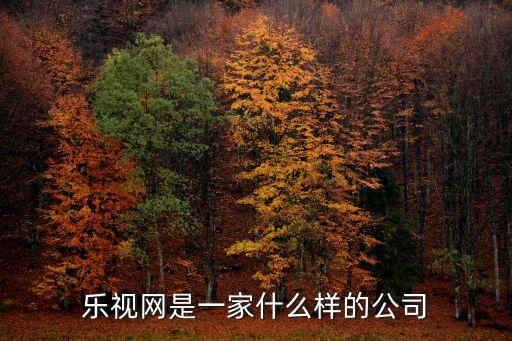 乐视股票是什么样的公司，乐视网是一家什么样的公司