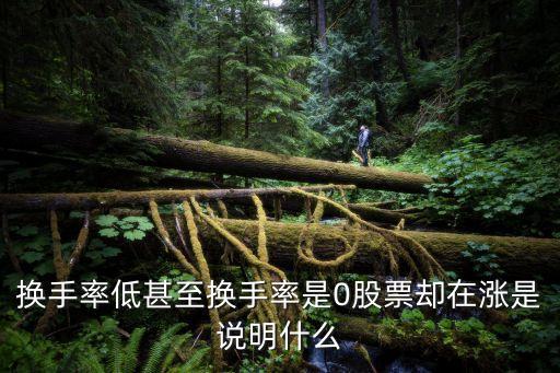 换手率低甚至换手率是0股票却在涨是说明什么