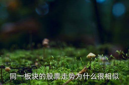 为什么股票价格一样呢，同一板块的股票走势为什么很相似