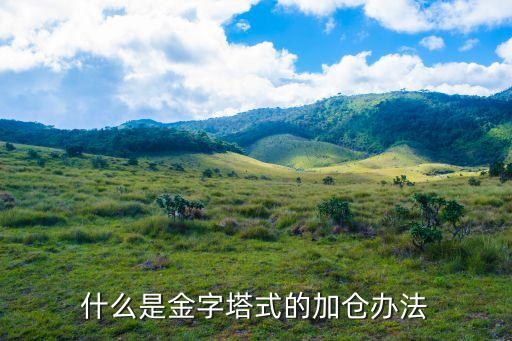 什么是金字塔式股票市场，金字塔期货全名是什么
