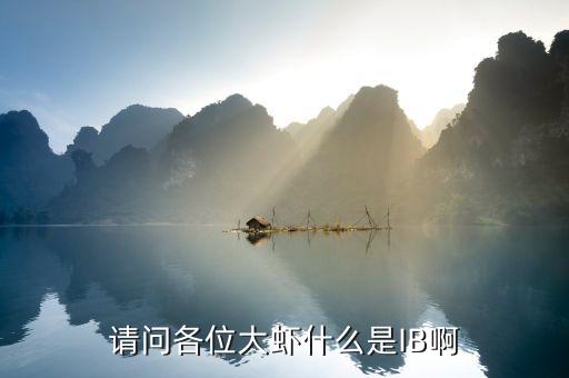 请问各位大虾什么是IB啊
