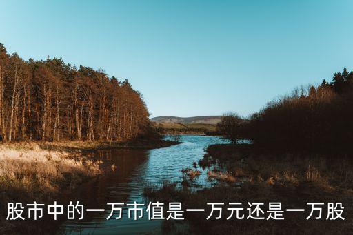 股市中的一万市值是一万元还是一万股