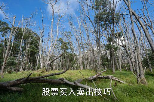 股票买入卖出技巧