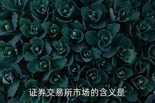 证券交易所市场的含义是