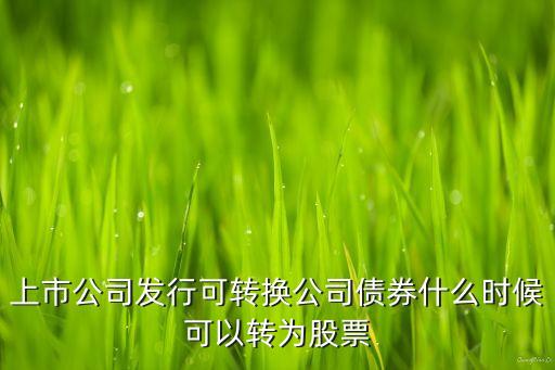 上市公司发行可转换公司债券什么时候可以转为股票