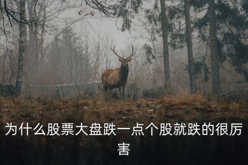 为什么股票大盘跌一点个股就跌的很厉害