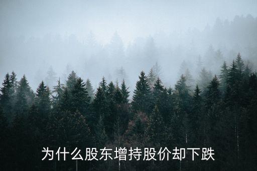 为什么股东增持股价却下跌