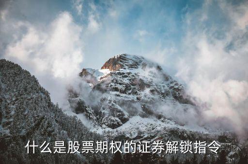 什么是股票期权的证券解锁指令
