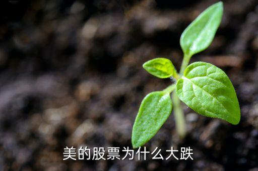 美的股票为什么大跌