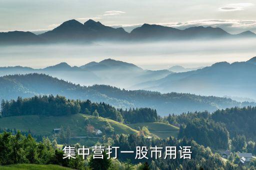 集中营打一股市用语