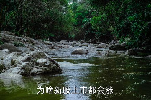 为啥新股上市都会涨