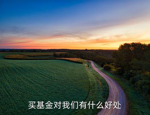 买入股票的基金有什么用，买基金对我们有什么好处
