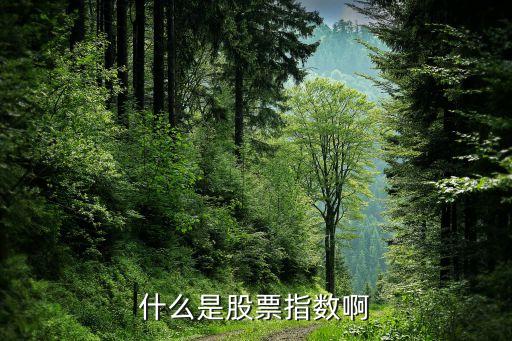 什么是股票指数啊