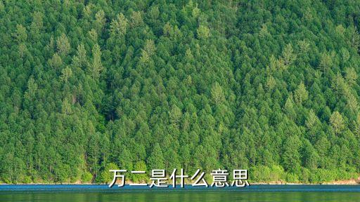 万二是什么意思