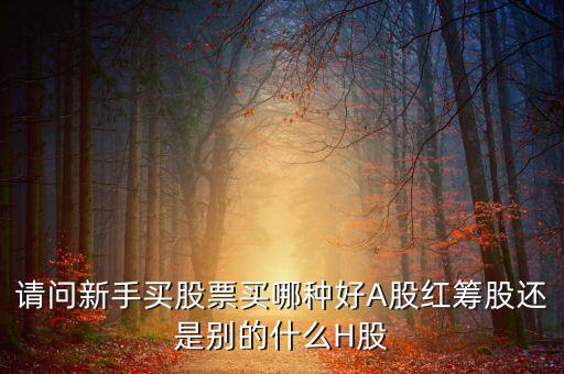 请问新手买股票买哪种好A股红筹股还是别的什么H股