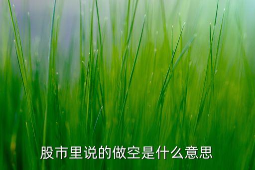 股票里的做空是什么意思，请问什么是股票做空