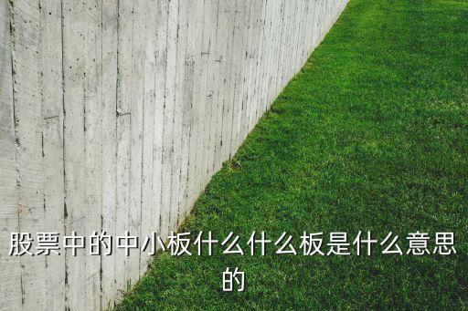 股票中的中小板什么什么板是什么意思的