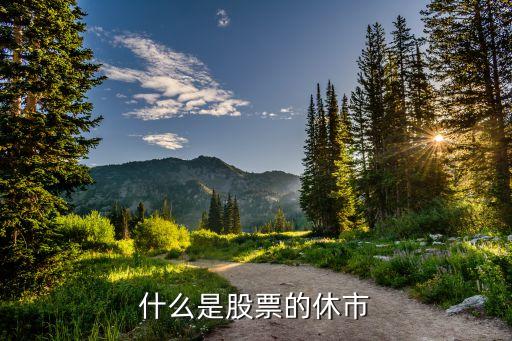 周一股票休市什么意思，什么是股票的休市