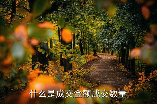 什么是成交金额成交数量
