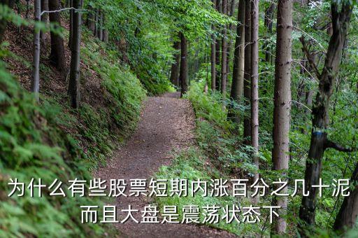 为什么有些股票短期内涨百分之几十泥 而且大盘是震荡状态下