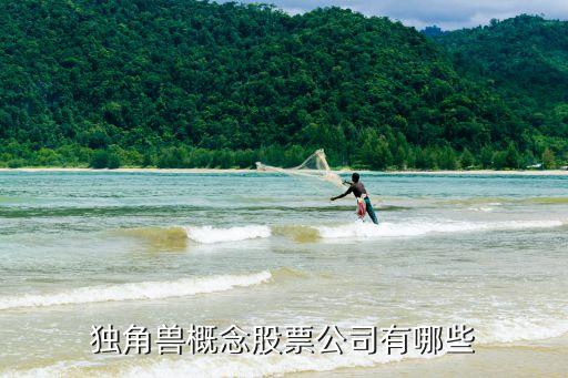独角兽概念股票公司有哪些