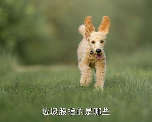 一直走低的股票就什么股，垃圾股指的是哪些