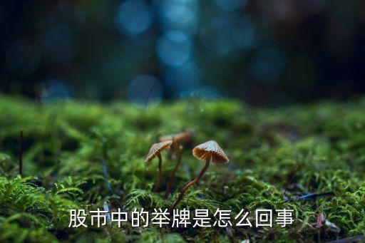 股市中的举牌是怎么回事