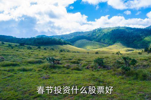 春节投资什么股票好