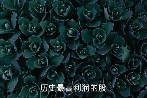 历史最高利润的股
