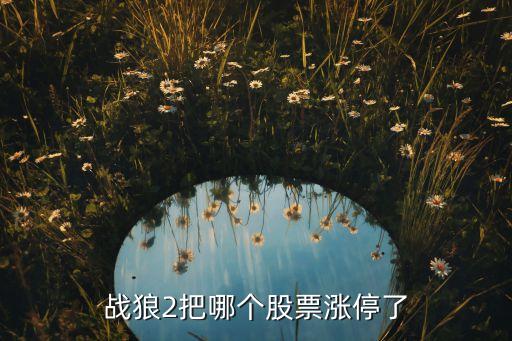 战狼2把哪个股票涨停了