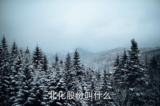 北化股份叫什么