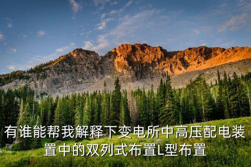 有谁能帮我解释下变电所中高压配电装置中的双列式布置L型布置