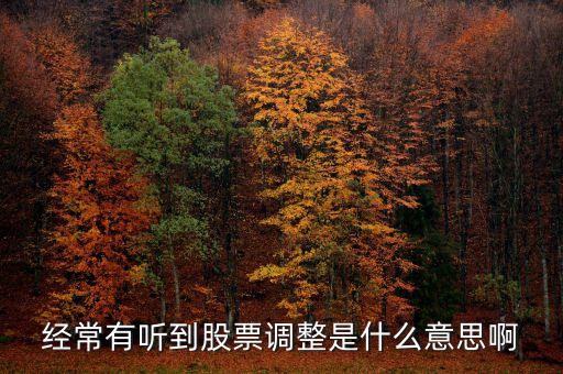 经常有听到股票调整是什么意思啊